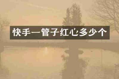 快手一管子红心多少个