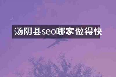 汤阴县seo哪家做得快
