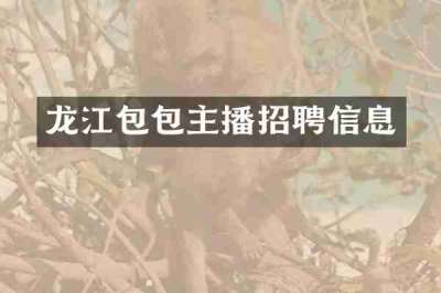 龙江包包主播招聘信息