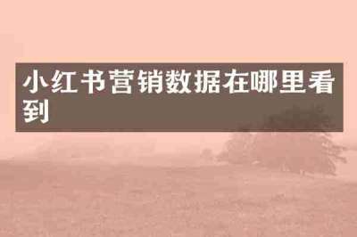 小红书营销数据在哪里看到