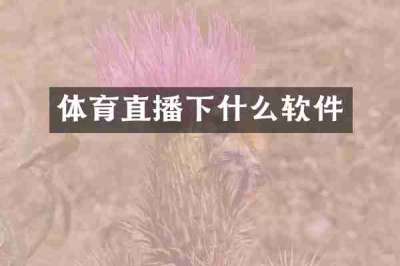 体育直播下什么软件