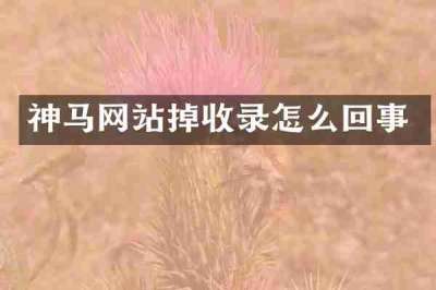 神马网站掉收录怎么回事