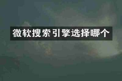 微软搜索引擎选择哪个