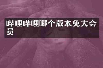 哔哩哔哩哪个版本免大会员