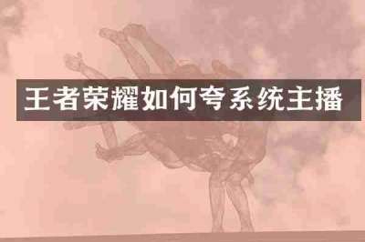 王者荣耀如何夸系统主播