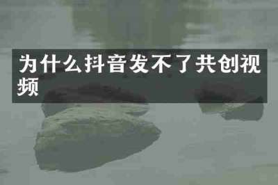 为什么抖音发不了共创视频