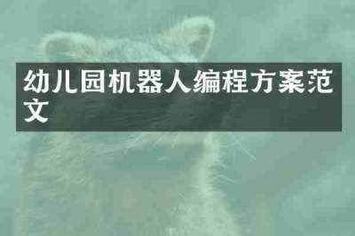 幼儿园机器人编程方案范文