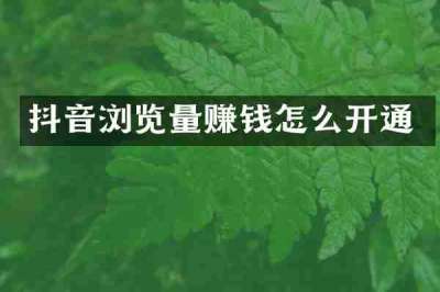 抖音浏览量赚钱怎么开通