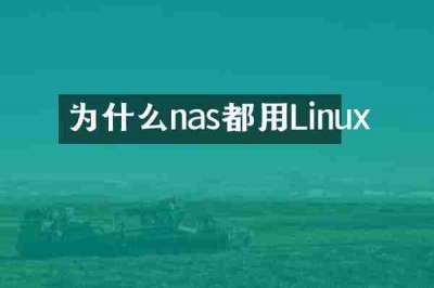 为什么nas都用Linux