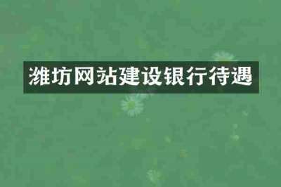 潍坊网站建设银行待遇