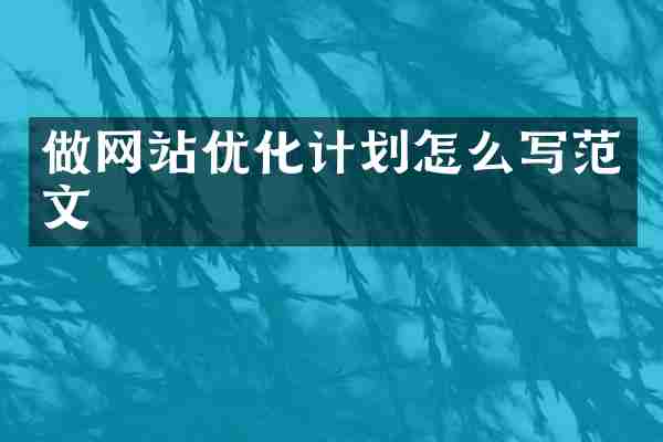 做网站优化计划怎么写范文