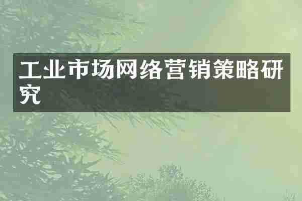 工业市场网络营销策略研究