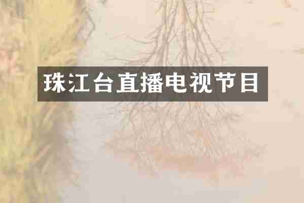 珠江台直播电视节目
