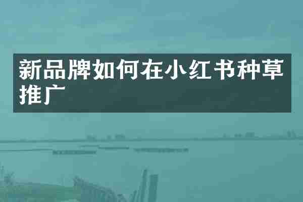 新品牌如何在小红书种草推广