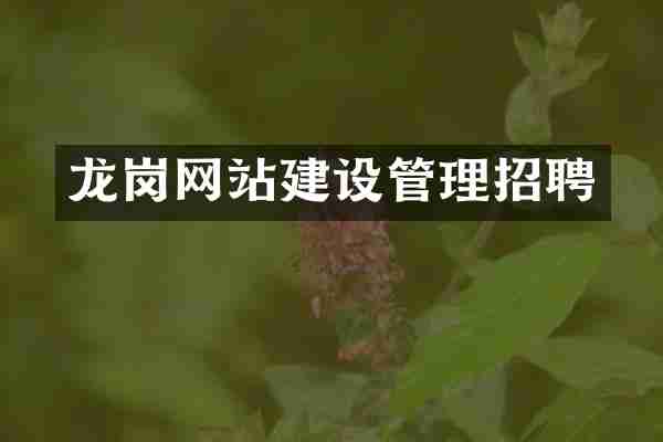 龙岗网站建设管理招聘