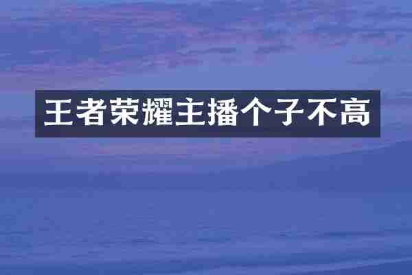 王者荣耀主播个子不高