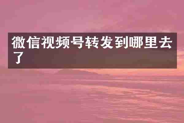 微信视频号转发到哪里去了
