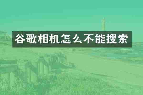 谷歌相机怎么不能搜索