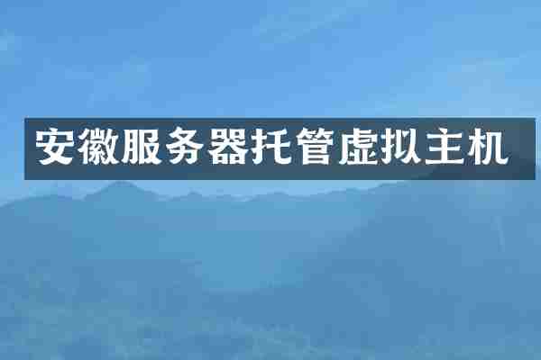 安徽服务器托管虚拟主机