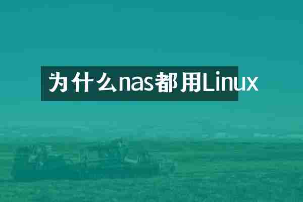 为什么nas都用Linux