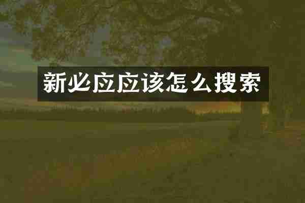 新必应应该怎么搜索