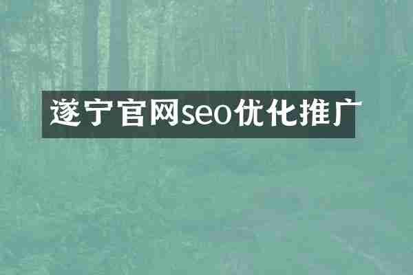 遂宁官网seo优化推广