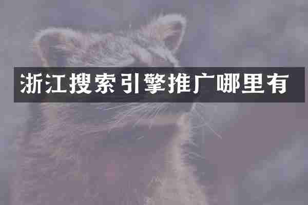 浙江搜索引擎推广哪里有