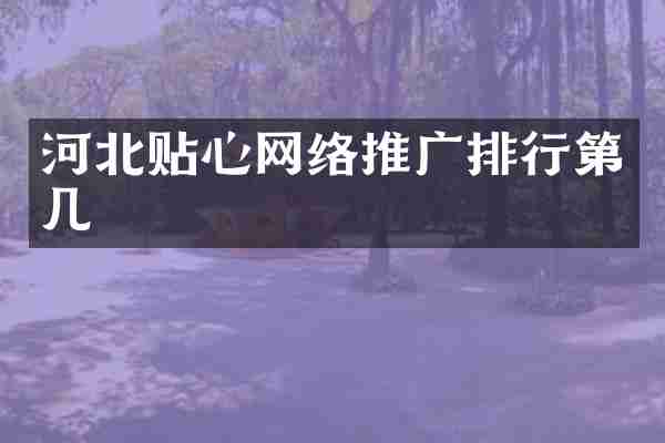 河北贴心网络推广排行第几