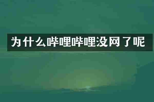 为什么哔哩哔哩没网了呢