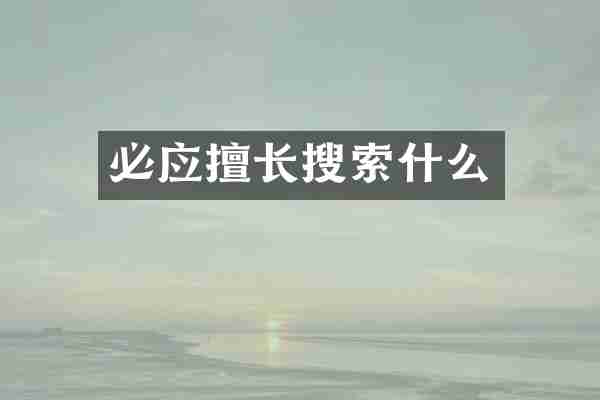 必应擅长搜索什么