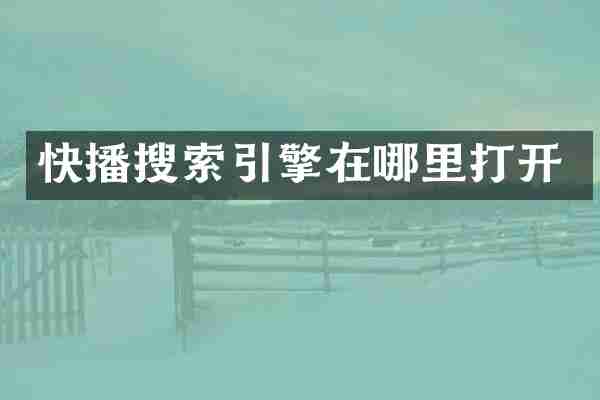 搜索引擎在哪里打开