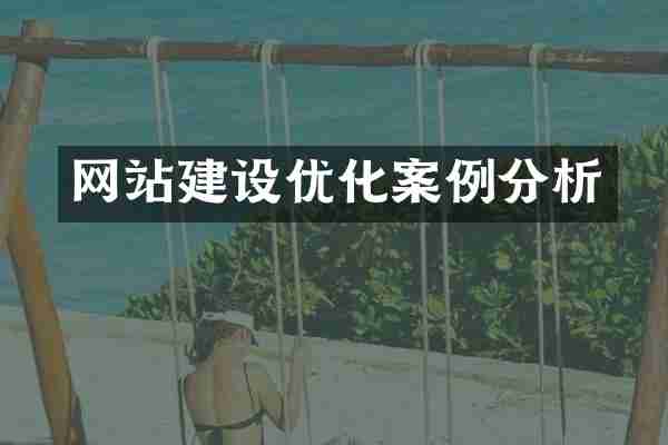 网站建设优化案例分析