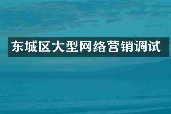 东城区大型网络营销调试