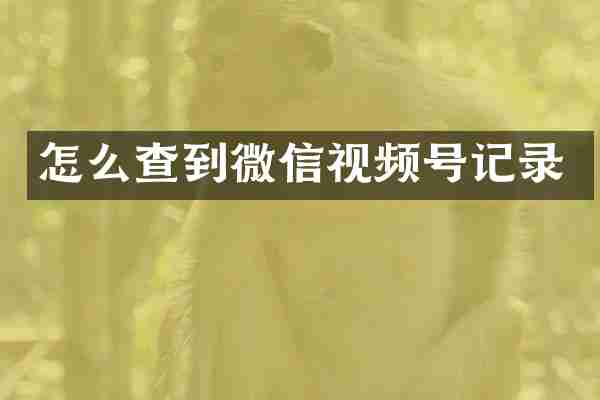 怎么查到微信视频号记录