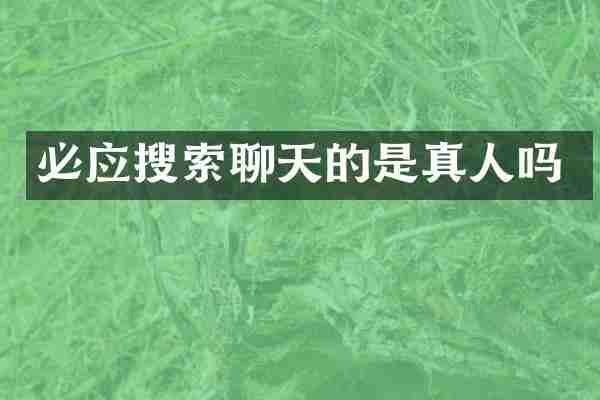 必应搜索聊天的是真人吗