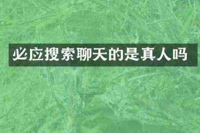 必应搜索聊天的是真人吗