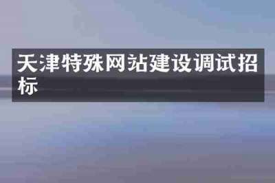 天津特殊网站建设调试招标
