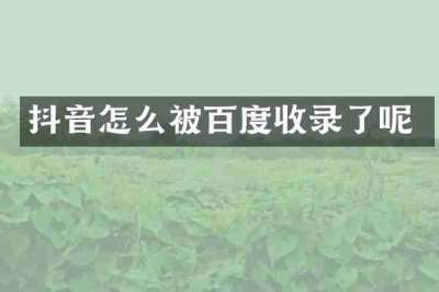 抖音怎么被百度收录了呢