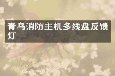 青鸟消防主机多线盘反馈灯