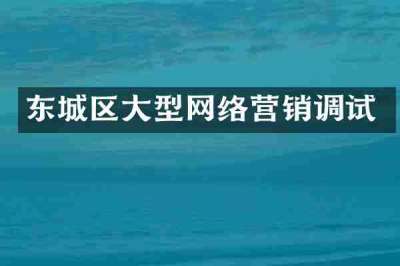 东城区大型网络营销调试