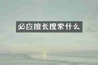 必应擅长搜索什么