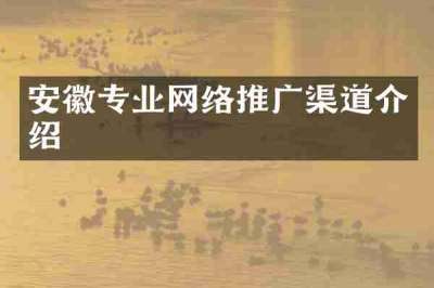 安徽专业网络推广渠道介绍