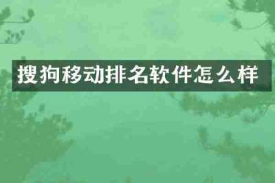 搜狗移动排名软件怎么样