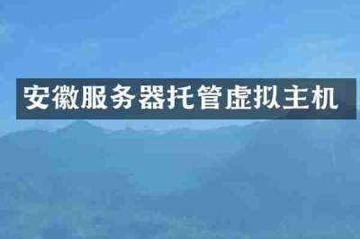安徽服务器托管虚拟主机