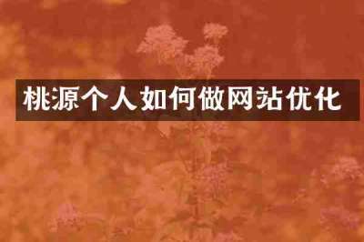 桃源个人如何做网站优化