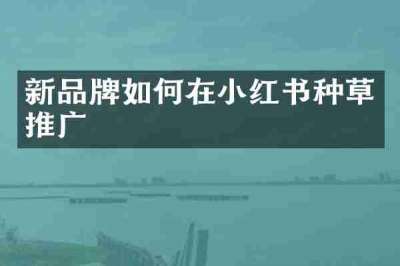 新品牌如何在小红书种草推广