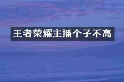 王者荣耀主播个子不高