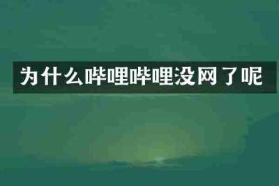 为什么哔哩哔哩没网了呢