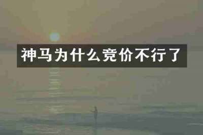 神马为什么竞价不行了