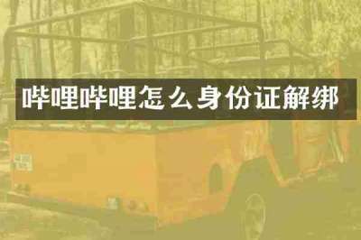 哔哩哔哩怎么身份证解绑